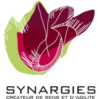 SYNARGIES SAS Logo