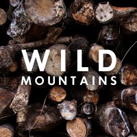 Wild Mountains Glamping Logo