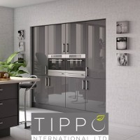 Tippo International Ltd Logo
