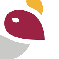 Condor Travel Logo