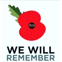 PITLANE NEWS- A World of Motorsports Logo