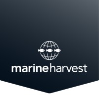 Marine Harvest (Scotland) Ltd Logo