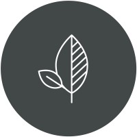 Nectar & Green Logo