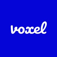 Voxel Logo