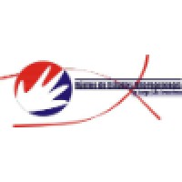 Núcleo de Estudos Internacionais da Faculdade de Direito da USP (NEI/FDUSP) Logo