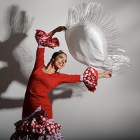 Lucidez Dance Logo