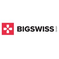 Bigswiss GmbH Logo