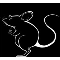 InvivoEd Logo