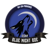 Blue Night BDE - ESAIP Logo
