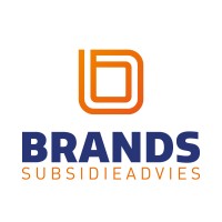 Brands Subsidieadvies Logo