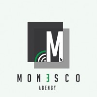 Monesco Logo