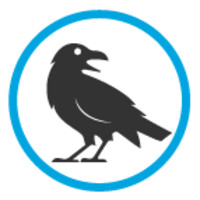 ravensearch ltd - M&E recruitment Logo