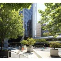 Nelson Square Executive Offices Logo