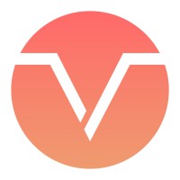 Vizer Logo
