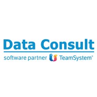 Data Consult srl Logo