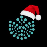 Blockchain Netherlands (BCNL Foundation) Logo