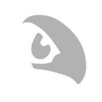 Sponsor Insight Finland Logo