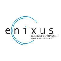 ENIXUS Logo