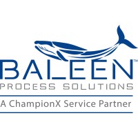 Baleen Process Solutions Logo