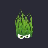 Festival Dranouter Logo