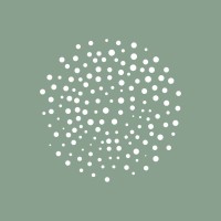 Solina Logo