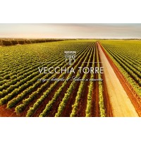Cantina Vecchia Torre Logo