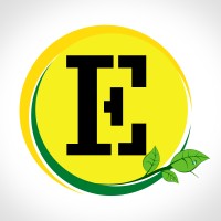 INGEGNERIA FUTURA ENERGIA SRL Logo