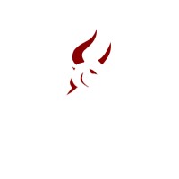 Bovarius Capital Management Logo