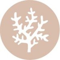 Vandaya Jewellery Logo