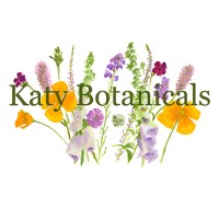 Katy McIntyre Brown Logo