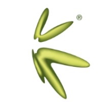 Konew FinTech Corporation Limited Logo