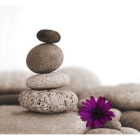 Balanced Life Coaching Logo