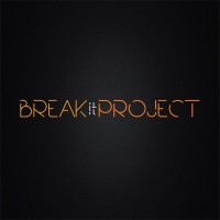 Break It Project Logo