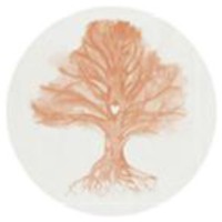 Oakewood Services & Oakewood Design Logo