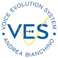 Voice Evolution System Logo
