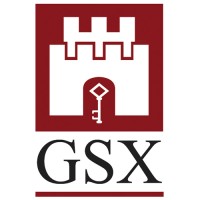 GSX Group Limited Logo
