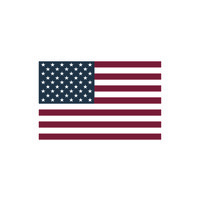 Allegiance Company Logo