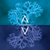 Arvut Logo