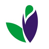 FCM GLOBAL - VERDECANN Logo