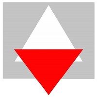 DMS Informatique Logo