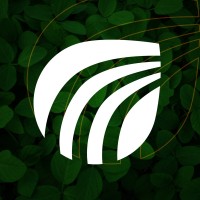 Foco Agronegócios Logo