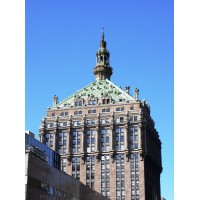 DPC New York Logo