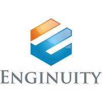 Enginuity Consulting Engineers LLC Logo