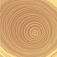 Nest design build Logo