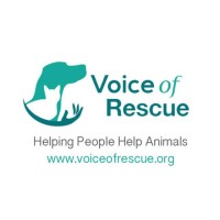 Voice of Rescue Logo