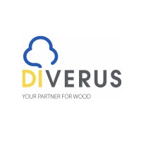 DIVERUS Logo