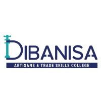 Dibanisa Artisans and Trade Skills College Logo
