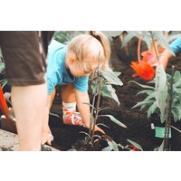 Volunteer Waterloo Region Logo