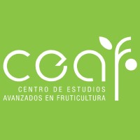 Centro de Estudios Avanzados en Fruticultura CEAF Logo