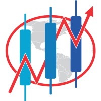 Dynamic Forex Solutions LLC Logo